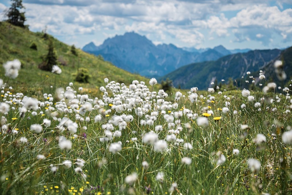 Terra – Nord –&nbsp;Fare